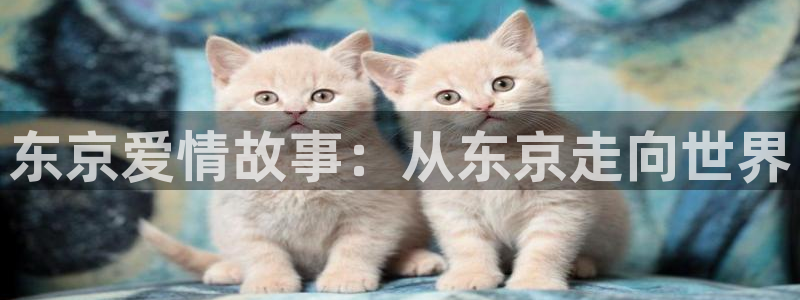 韩漫漫画免费无遮挡：东京爱情故事：从东京走向世界